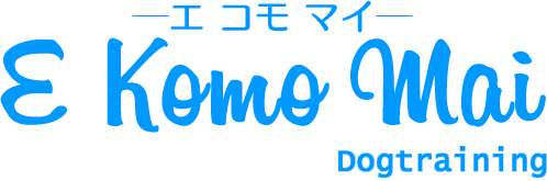 送迎ありのペットホテル・おうちで犬のしつけ保育(幼稚園・遊び通園) - E Komo Mai -