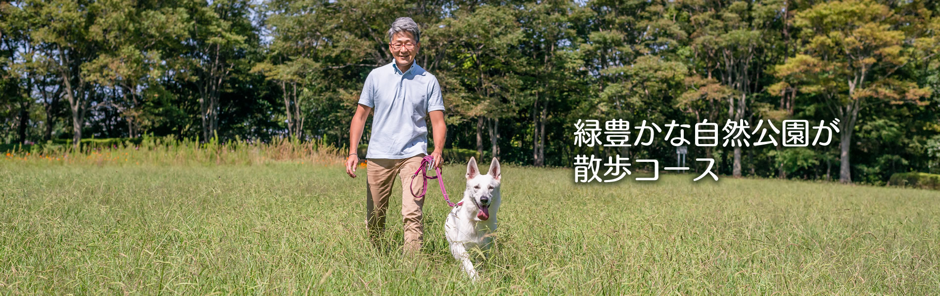 緑豊かな自然公園が散歩コース